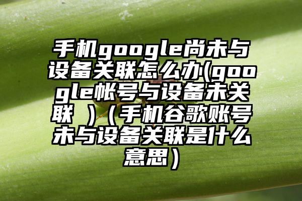 手机google尚未与设备关联怎么办(google帐号与设备未关联 )（手机谷歌账号未与设备关联是什么意思）
