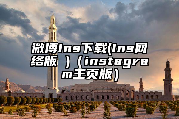 微博ins下载(ins网络版 )（instagram主页版）