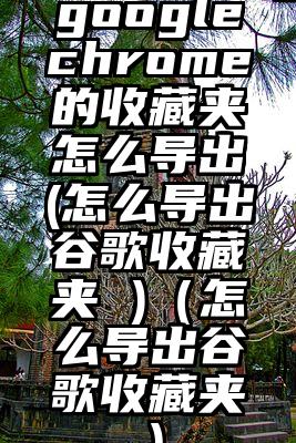googlechrome的收藏夹怎么导出(怎么导出谷歌收藏夹 )（怎么导出谷歌收藏夹）