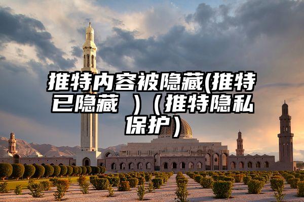 推特内容被隐藏(推特已隐藏 )（推特隐私保护）