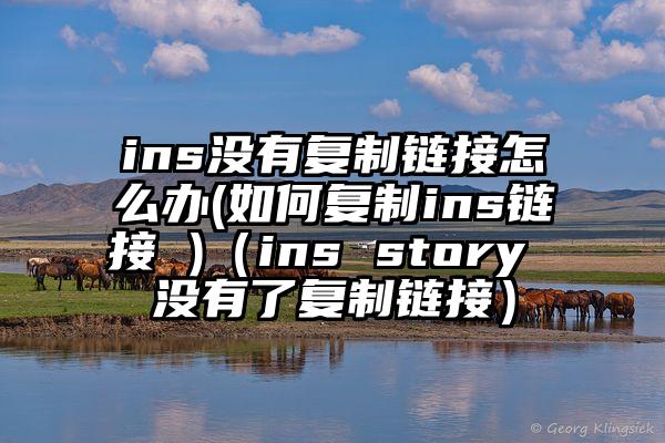 ins没有复制链接怎么办(如何复制ins链接 )（ins story 没有了复制链接）