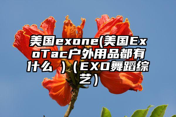 美国exone(美国ExoTac户外用品都有什么 )（EXO舞蹈综艺）