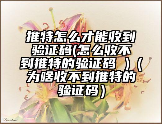 推特怎么才能收到验证码(怎么收不到推特的验证码 )（为啥收不到推特的验证码）