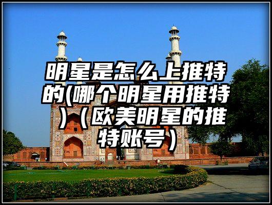 明星是怎么上推特的(哪个明星用推特 )（欧美明星的推特账号）