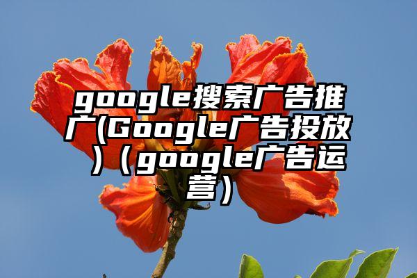 google搜索广告推广(Google广告投放 )（google广告运营）