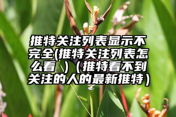 推特关注列表显示不完全(推特关注列表怎么看 )（推特看不到关注的人的最新推特）