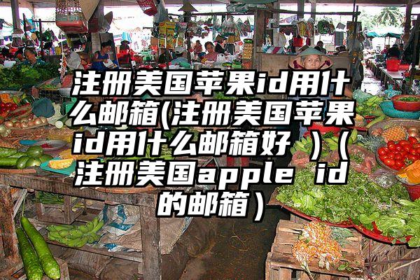 注册美国苹果id用什么邮箱(注册美国苹果id用什么邮箱好 )（注册美国apple id的邮箱）