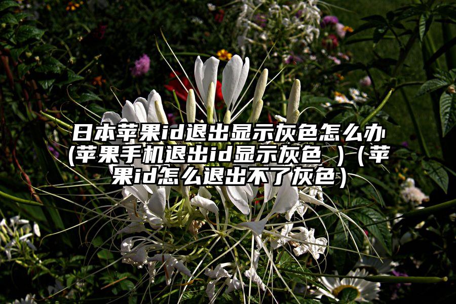 日本苹果id退出显示灰色怎么办(苹果手机退出id显示灰色 )（苹果id怎么退出不了灰色）
