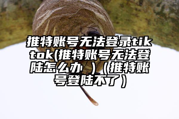 推特账号无法登录tiktok(推特账号无法登陆怎么办 )(推特账号登陆不了)