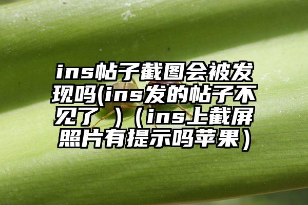 ins帖子截图会被发现吗(ins发的帖子不见了 )（ins上截屏照片有提示吗苹果）