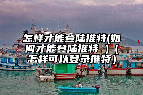 怎样才能登陆推特(如何才能登陆推特 )（怎样可以登录推特）