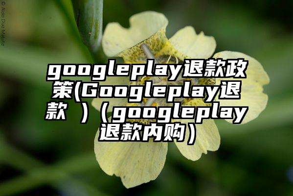 googleplay退款政策(Googleplay退款 )（googleplay退款内购）