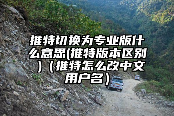 推特切换为专业版什么意思(推特版本区别 )（推特怎么改中文用户名）