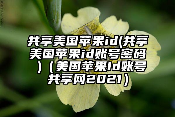 共享美国苹果id(共享美国苹果id账号密码 )（美国苹果id账号共享网2021）