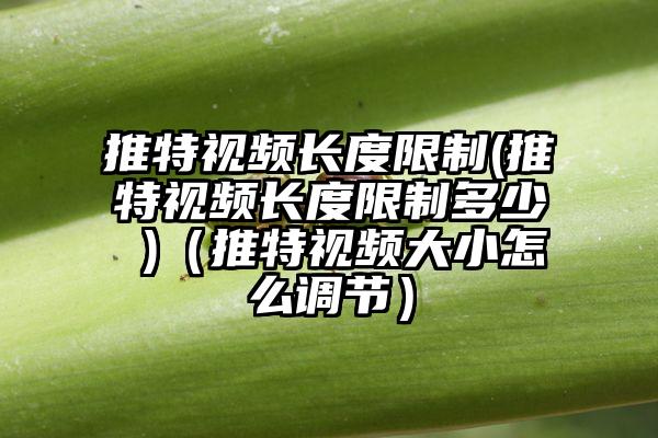推特视频长度限制(推特视频长度限制多少 )（推特视频大小怎么调节）