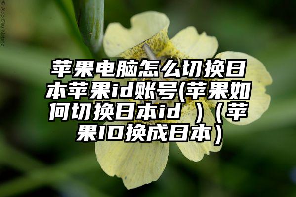 苹果电脑怎么切换日本苹果id账号(苹果如何切换日本id )（苹果ID换成日本）