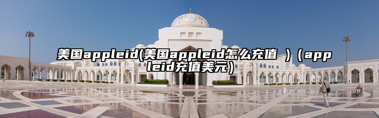 美国appleid(美国appleid怎么充值 )（appleid充值美元）