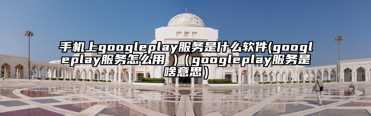 手机上googleplay服务是什么软件(googleplay服务怎么用 )（googleplay服务是啥意思）