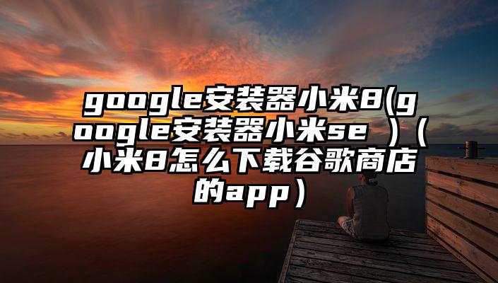 google安装器小米8(google安装器小米se )（小米8怎么下载谷歌商店的app）
