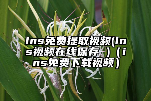 ins免费提取视频(ins视频在线保存 )（ins免费下载视频）