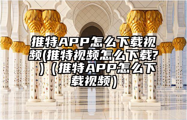 推特APP怎么下载视频(推特视频怎么下载? )（推特APP怎么下载视频）