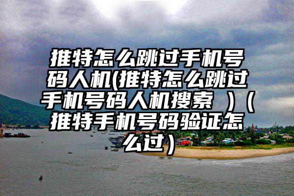 推特怎么跳过手机号码人机(推特怎么跳过手机号码人机搜索 )（推特手机号码验证怎么过）