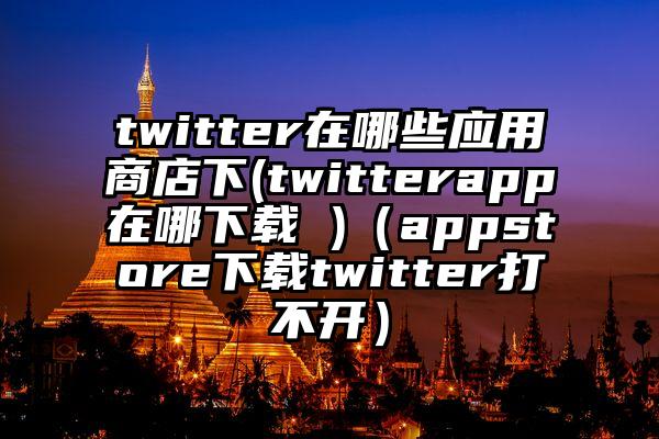 twitter在哪些应用商店下(twitterapp在哪下载 )（appstore下载twitter打不开）