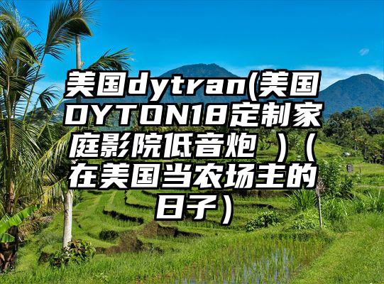 美国dytran(美国DYTON18定制家庭影院低音炮 )（在美国当农场主的日子）