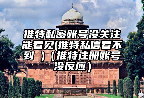 推特私密账号没关注能看见(推特私信看不到 )（推特注册账号没反应）