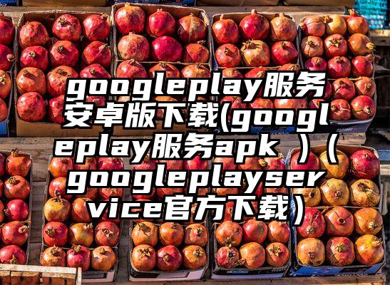 googleplay服务安卓版下载(googleplay服务apk )（googleplayservice官方下载）