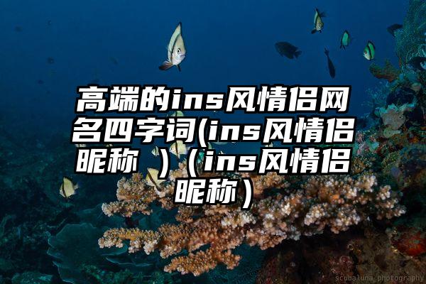 高端的ins风情侣网名四字词(ins风情侣昵称 )（ins风情侣昵称）