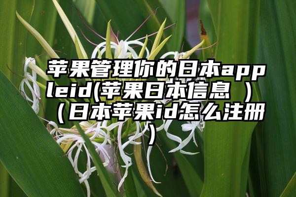 苹果管理你的日本appleid(苹果日本信息 )（日本苹果id怎么注册）