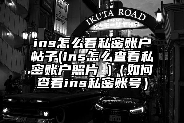 ins怎么看私密账户帖子(ins怎么查看私密账户照片 )（如何查看ins私密账号）