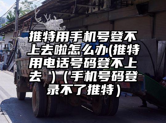 推特用手机号登不上去啦怎么办(推特用电话号码登不上去 )（手机号码登录不了推特）