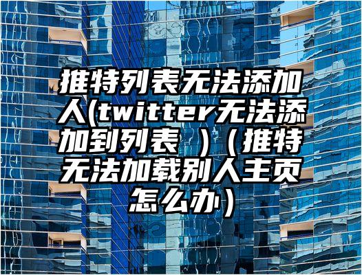 推特列表无法添加人(twitter无法添加到列表 )（推特无法加载别人主页怎么办）