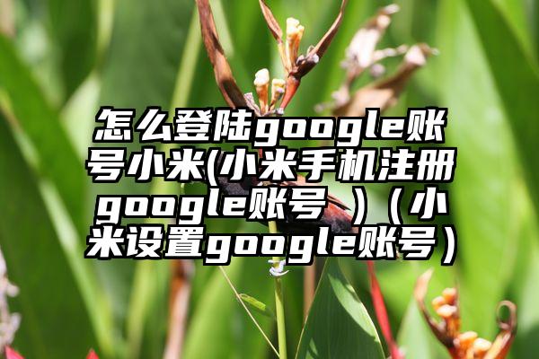 怎么登陆google账号小米(小米手机注册google账号 )（小米设置google账号）