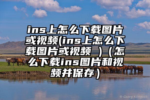 ins上怎么下载图片或视频(ins上怎么下载图片或视频 )（怎么下载ins图片和视频并保存）