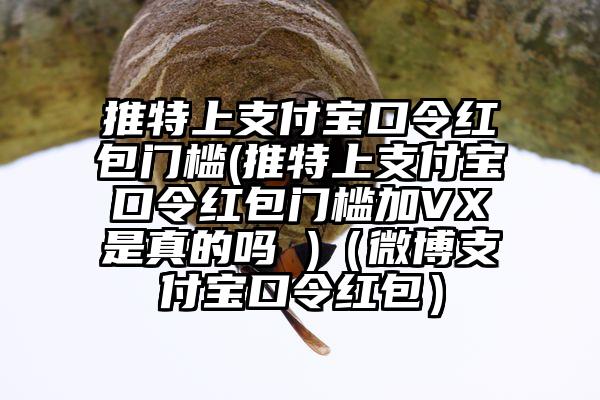 推特上支付宝口令红包门槛(推特上支付宝口令红包门槛加VX是真的吗 )（微博支付宝口令红包）