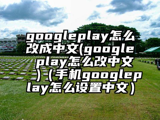 googleplay怎么改成中文(google play怎么改中文 )（手机googleplay怎么设置中文）
