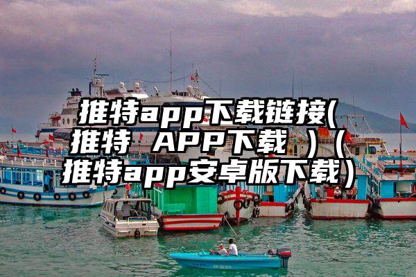 推特app下载链接(推特 APP下载 )（推特app安卓版下载）