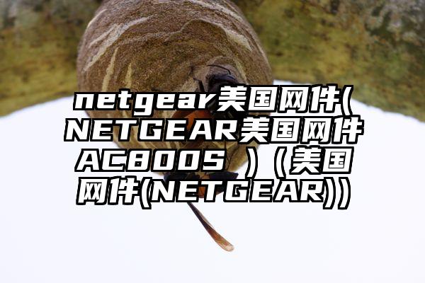 netgear美国网件(NETGEAR美国网件AC800S )(美国网件(NETGEAR))