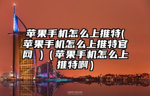 苹果手机怎么上推特(苹果手机怎么上推特官网 )（苹果手机怎么上推特啊）