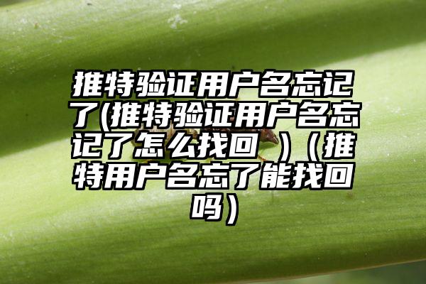 推特验证用户名忘记了(推特验证用户名忘记了怎么找回 )（推特用户名忘了能找回吗）