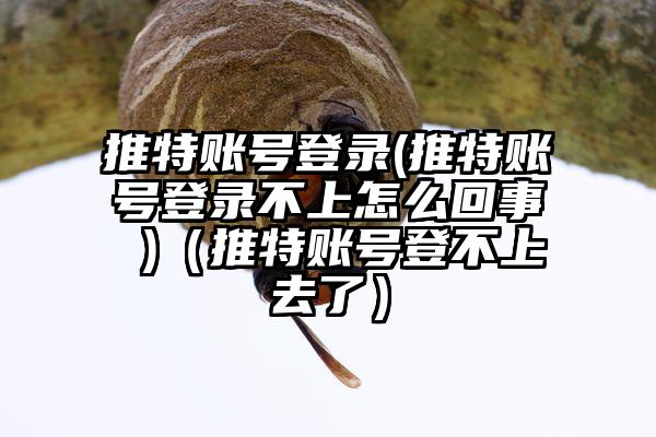 推特账号登录(推特账号登录不上怎么回事 )（推特账号登不上去了）