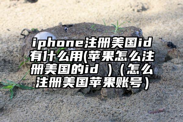 iphone注册美国id有什么用(苹果怎么注册美国的id )（怎么注册美国苹果账号）