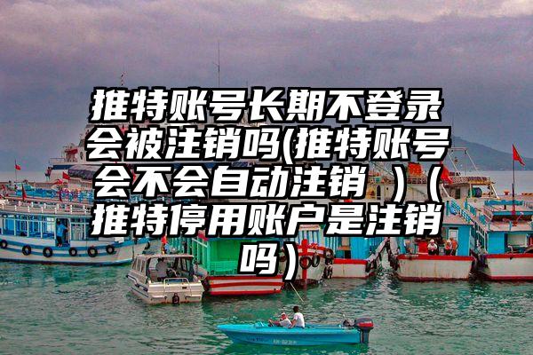 推特账号长期不登录会被注销吗(推特账号会不会自动注销 )（推特停用账户是注销吗）
