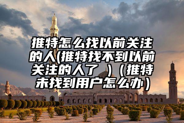 推特怎么找以前关注的人(推特找不到以前关注的人了 )（推特未找到用户怎么办）