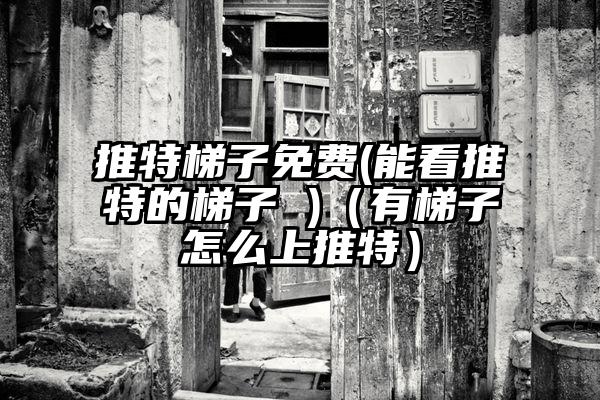 推特梯子免费(能看推特的梯子 )（有梯子怎么上推特）
