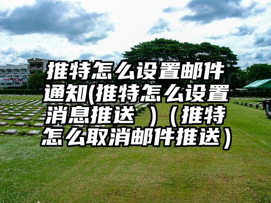推特怎么设置邮件通知(推特怎么设置消息推送 )（推特怎么取消邮件推送）