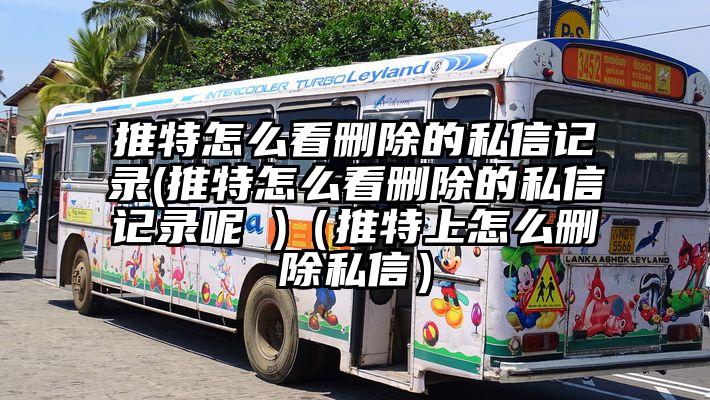 推特怎么看删除的私信记录(推特怎么看删除的私信记录呢 )（推特上怎么删除私信）